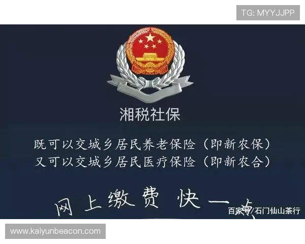 开运app手机官方网站提供的功能介绍及使用技巧全面解析